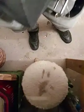 Lajkii online show from April 8, 11:59 pm