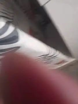 Lajkii online show from April 11, 10:25 pm