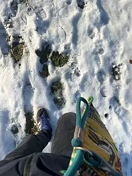 Mrbighardcock online show from January 14, 10:21 am