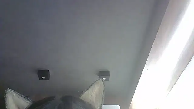 Skinny-Kitten online show from January 19, 7:23 am