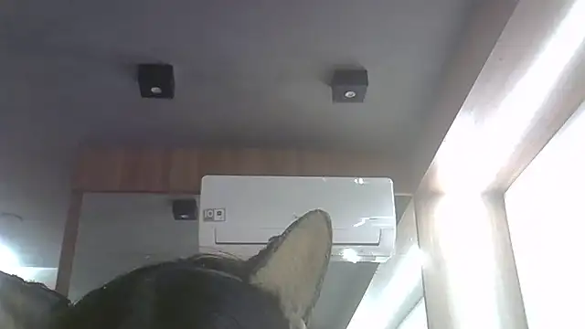 Snapshot of Skinny-Kitten chatting on June 25, 11:31 pm Skinny-Kitten online show from June 25, 11:31 pm
