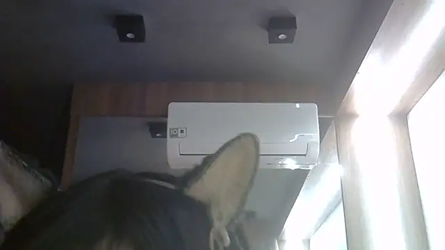 Snapshot of Skinny-Kitten chatting on June 27, 5:23 am Skinny-Kitten online show from June 27, 5:23 am