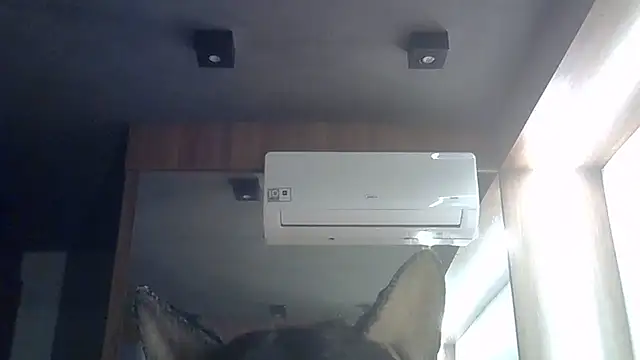 Snapshot of Skinny-Kitten chatting on June 28, 1:39 pm Skinny-Kitten online show from June 28, 1:39 pm