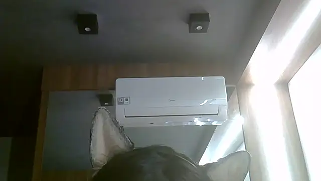 Snapshot of Skinny-Kitten chatting on July 5, 6:04 pm Skinny-Kitten online show from July 5, 6:04 pm