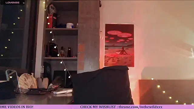 Snapshot of Cassie_Wild chatting on July 2, 1:06 pm Cassie Wild online show from July 2, 1:06 pm