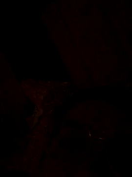 Snapshot of nalalye_cruzz_ chatting on September 29, 2:27 am nalalye cruzz online show from September 29, 2:27 am