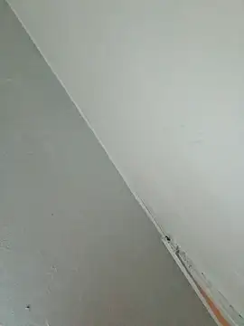 Stomps33 online show from February 5, 10:58 pm