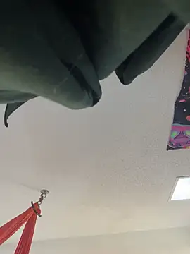 Terrafirma online show from January 27, 4:11 pm