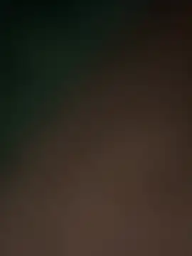 Terrafirma online show from February 16, 11:49 am