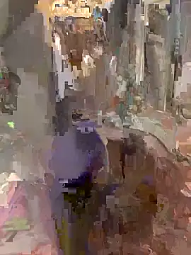 Terrafirma online show from November 8, 12:49 pm