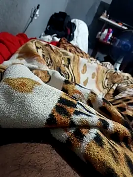 Mailsonp online show from February 26, 3:33 pm