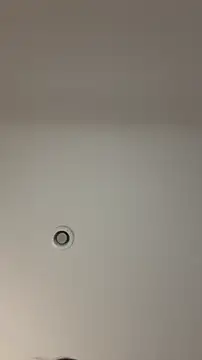 MichelleFerry  online show from December 21, 6:31 am