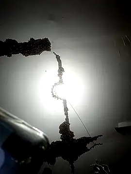 ColdVisitor online show from February 6, 1:32 am