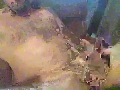 Snapshot of timmy88809 chatting on February 18, 4:47 pm timmy88809 online show from February 18, 4:47 pm