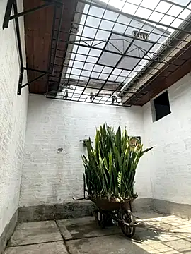 oliver price1 online show from October 6, 4:04 pm