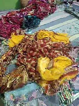 Shamimosman online show from February 27, 4:40 pm