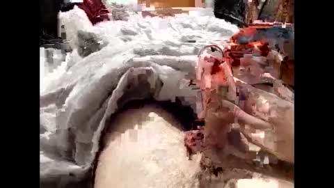 Snapshot of 19spieler99 chatting on February 8, 8:21 pm 19spieler99 online show from February 8, 8:21 pm