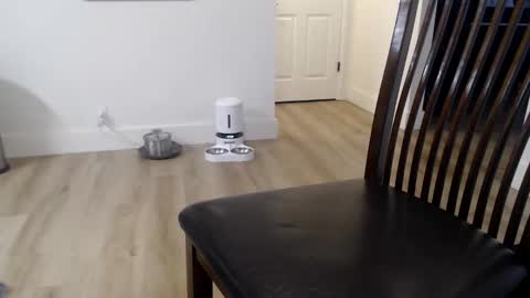 Snapshot of 1dad2plz chatting on November 9, 2:59 pm i erupt if you suck ur nipples 4 me and look at the camera while watching me online show from November 9, 2:59 pm