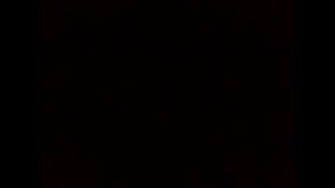 1st___ online show from November 6, 9:54 am