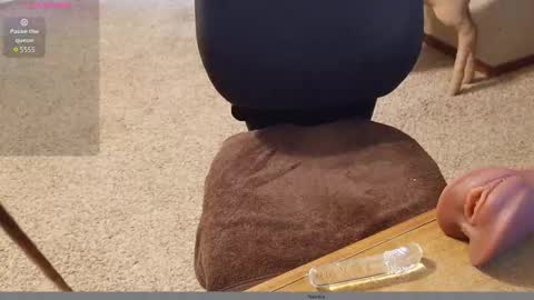 Snapshot of 2tiredoftoys chatting on November 15, 11:32 pm 2tiredoftoys online show from November 15, 11:32 pm