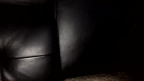 30nick online show from January 10, 7:37 pm