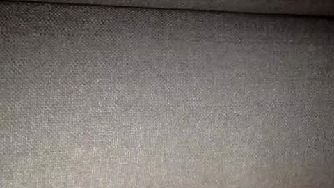 30nick online show from February 9, 3:54 am