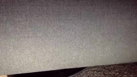 30nick online show from April 13, 5:02 am