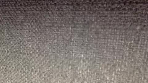 30nick online show from April 19, 8:24 am