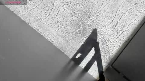 3X NAXAA online show from December 22, 12:46 pm