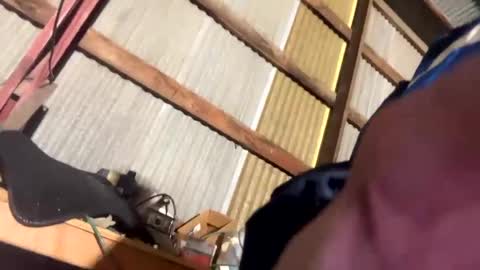 420danny online show from February 24, 3:44 am