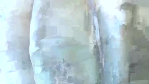 Daddy online show from December 1, 6:24 pm