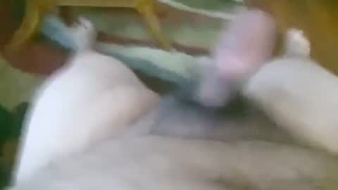 5tone_bon3 online show from January 5, 12:42 pm