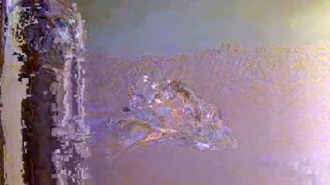 Zeus online show from November 1, 6:15 am