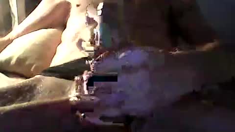 Zeus online show from April 14, 10:54 am