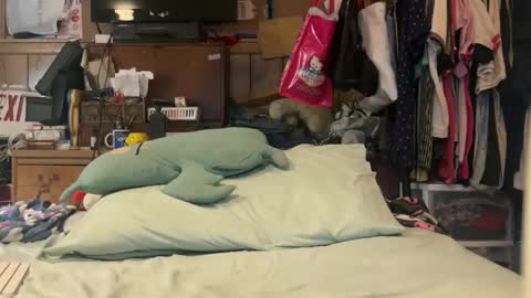 FUCKR online show from March 17, 4:50 am