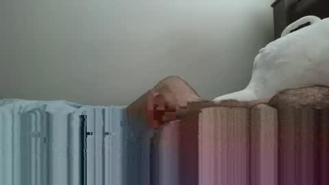 6boss498491 online show from February 23, 12:52 am