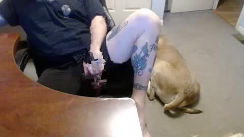 MASTIFF online show from January 16, 5:28 pm