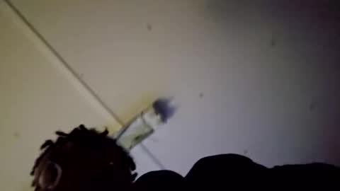 9inchmac245751 online show from November 21, 11:31 am