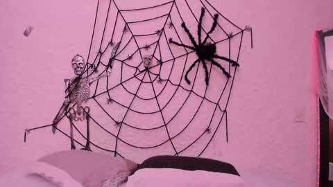 Alexander online show from October 22, 4:46 am