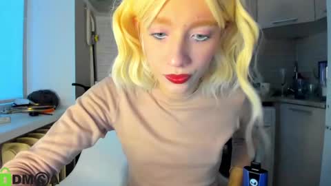 Snapshot of _alice_kitty chatting on December 16, 7:37 am Gaylord online show from December 16, 7:37 am