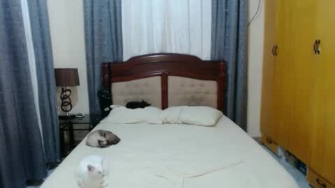 Snapshot of _amberxxx chatting on January 30, 5:39 pm Amber online show from January 30, 5:39 pm