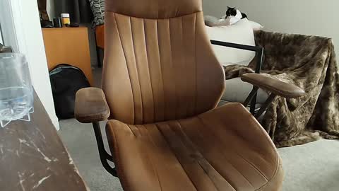 _black_lotus online show from February 2, 1:34 am