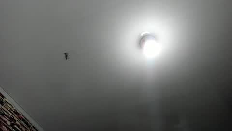 _casandra11 online show from February 17, 3:36 am