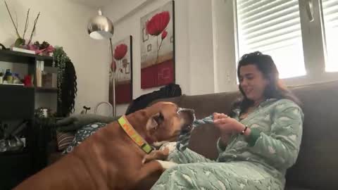 Snapshot of _elena_barra chatting on November 29, 12:41 pm elena barra online show from November 29, 12:41 pm