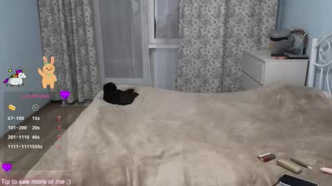 Sam  online show from January 10, 2:19 pm