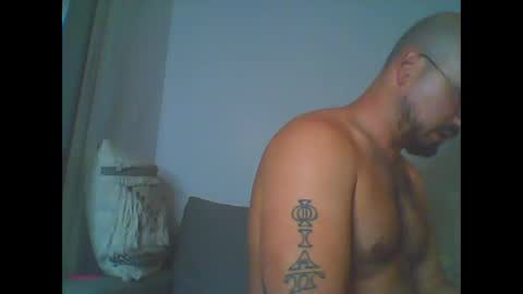 furby online show from February 15, 8:16 pm