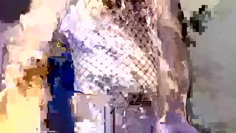 Snapshot of _incocknito_ chatting on December 16, 5:40 pm incocknito online show from December 16, 5:40 pm