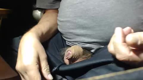 _jimmini online show from November 1, 5:04 pm