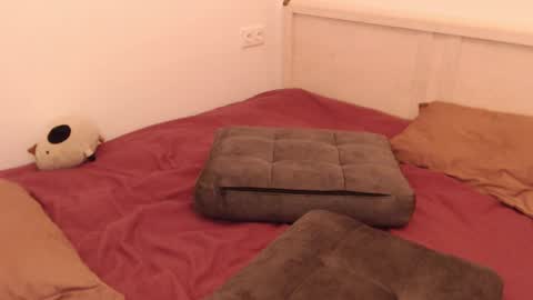 Snapshot of _lustica_ chatting on February 15, 11:50 am Anna online show from February 15, 11:50 am