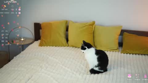 Snapshot of _million_dollarsmile chatting on December 1, 12:43 pm _million_dollarsmile online show from December 1, 12:43 pm